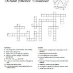 Free Printable Bridal Shower Crossword Puzzle In 2019