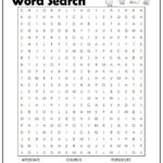The Holy Bible Word Search Monster Word Search