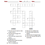 BIRDS Crossword Puzzle Worksheet Download