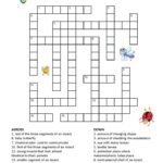 Free Crosswords For Kids Printable K5 Worksheets