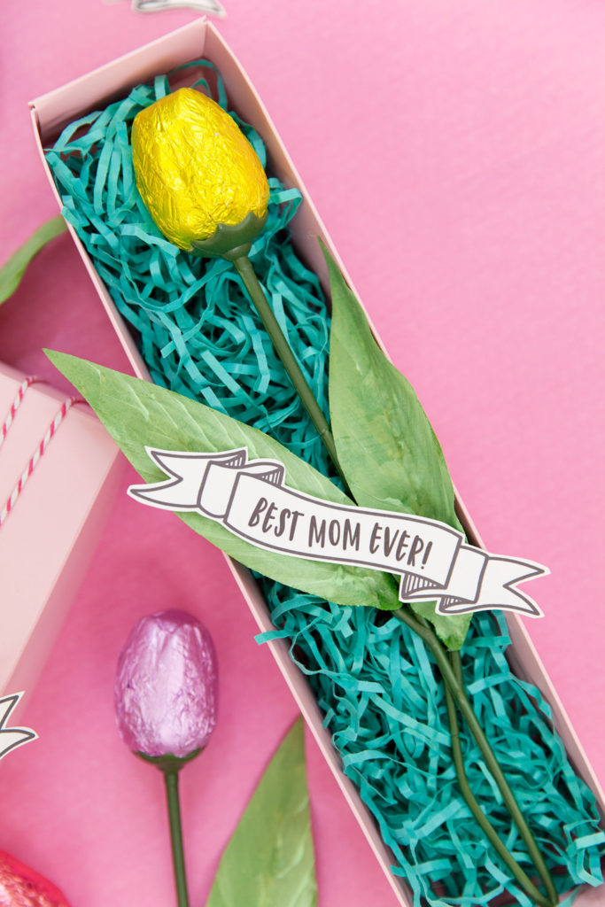 FREE PRINTABLE MOTHER S DAY BANNERS Tell Love And Party