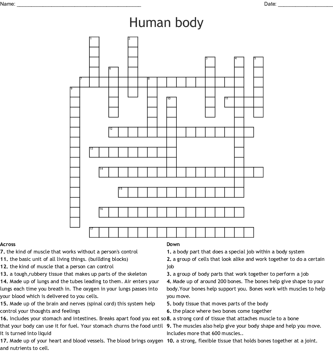 Human Body Crossword Puzzle Printable