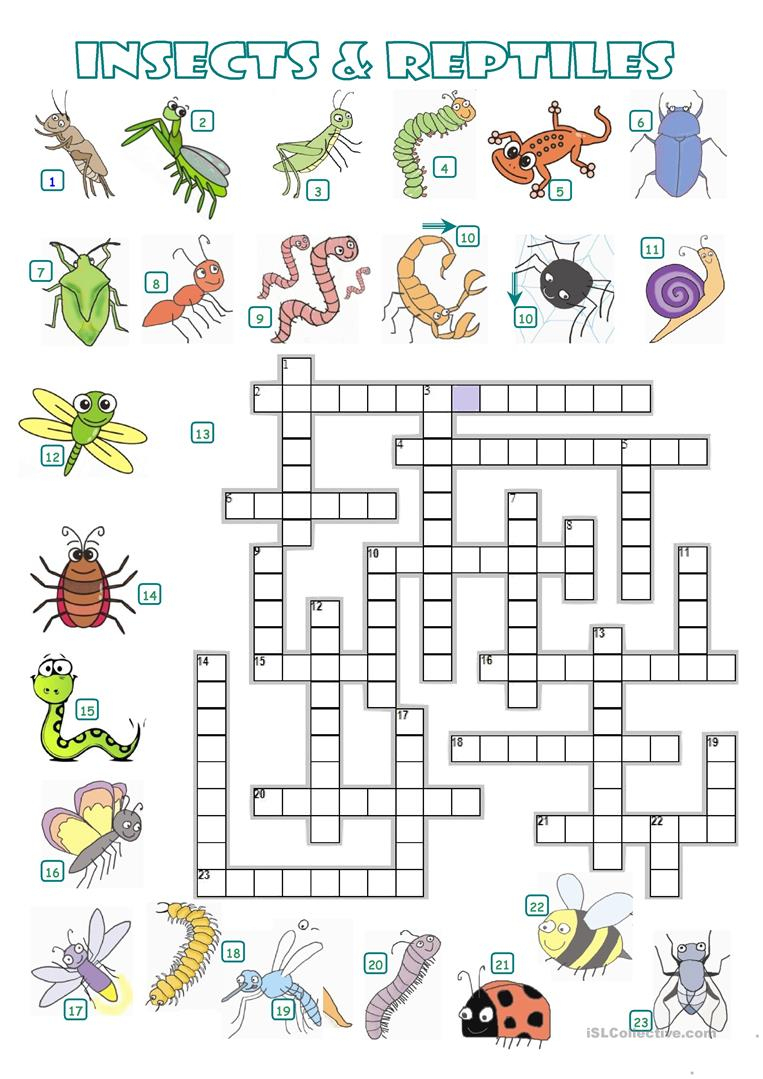 Insect Crossword Puzzle Printable