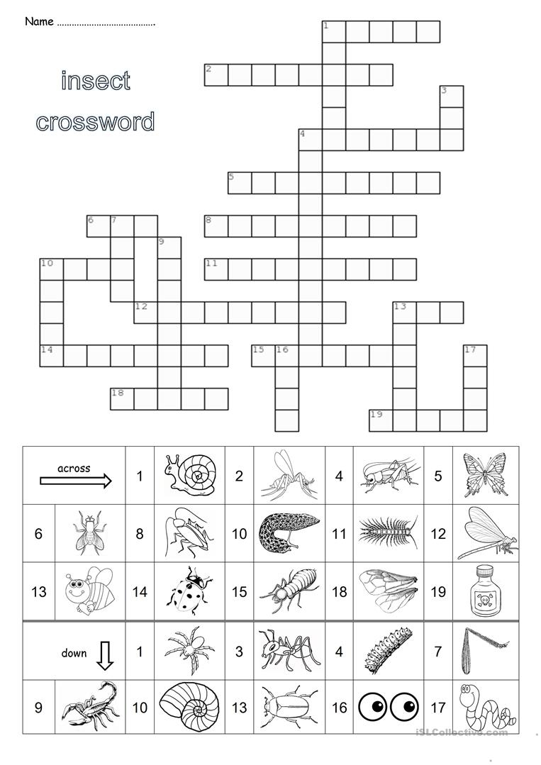 Insect Crossword Puzzle Printable
