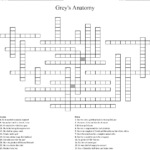 Printable Grey S Anatomy Crossword Puzzles Printable