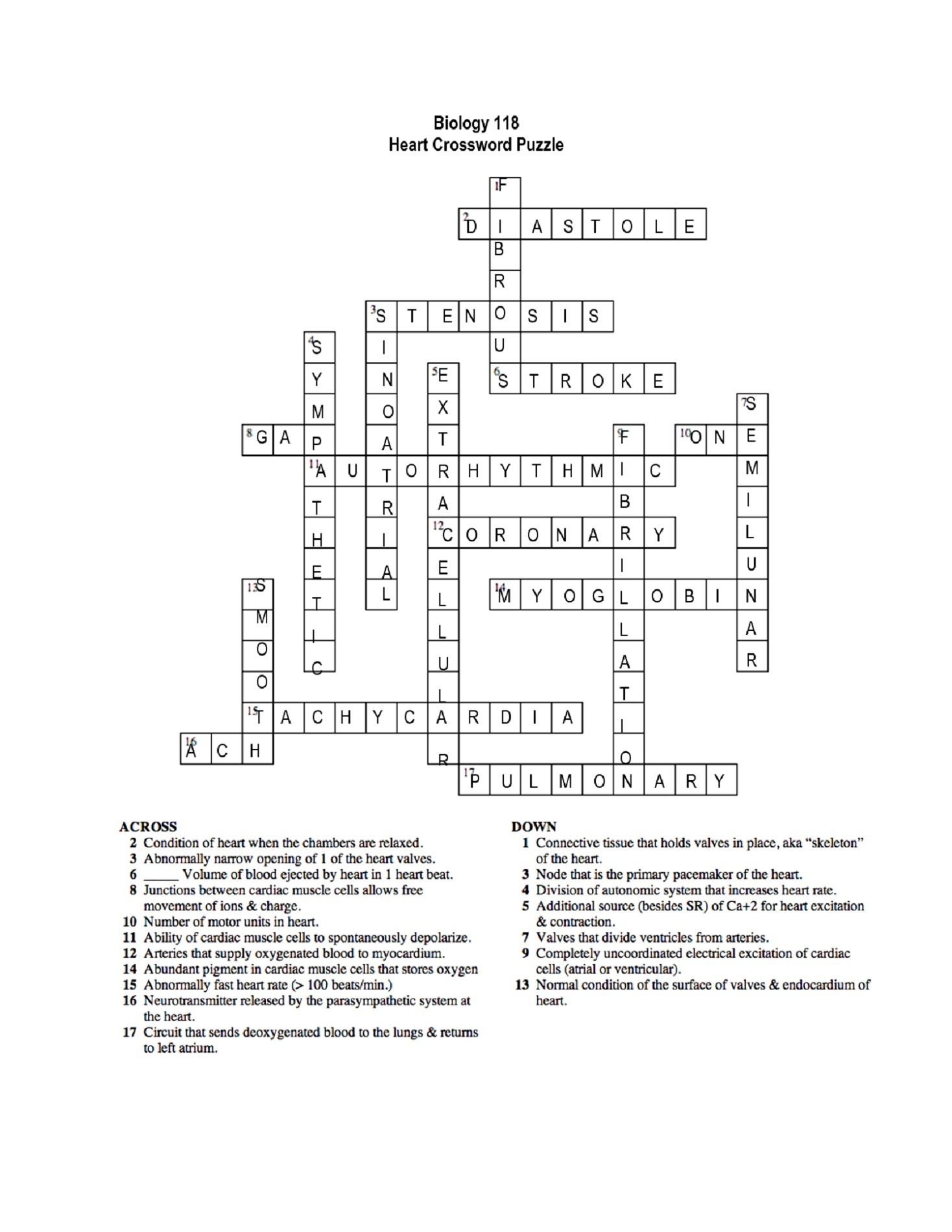 Respiratory System Crossword Puzzle Printable