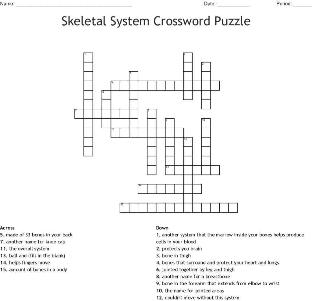 Printable Skeletal System Crossword Puzzle Printable