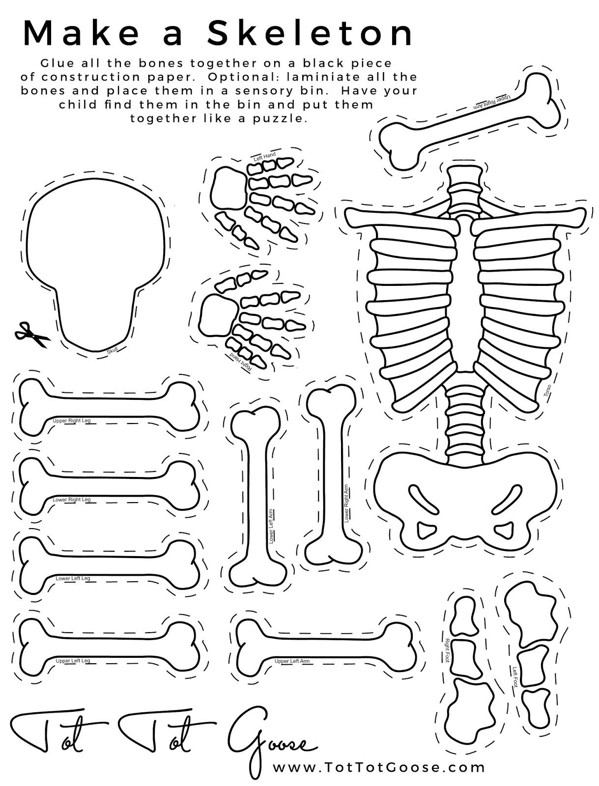 Free Printable Skeleton Crossword Puzzles
