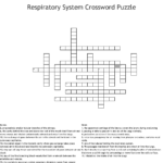 Respiratory System Crossword Puzzle Printable Printable