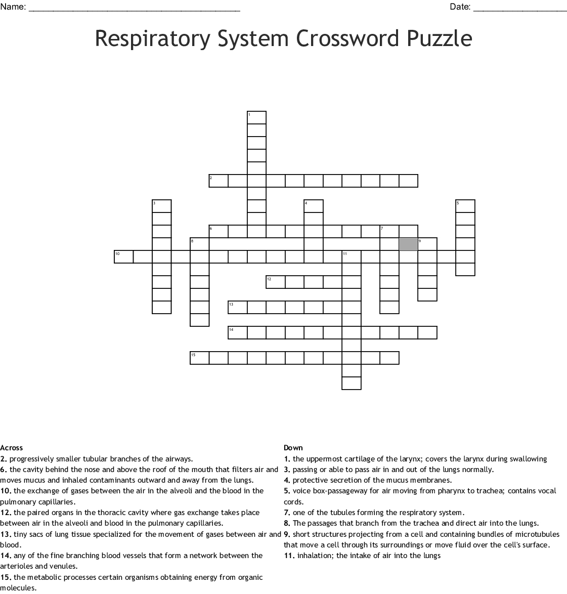 Respiratory System Crossword Puzzle Printable