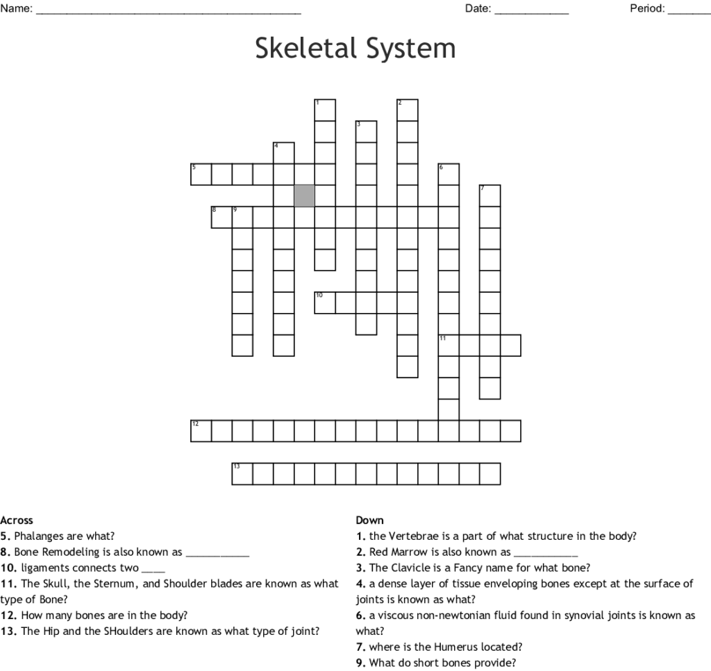 Skeletal System Crossword WordMint