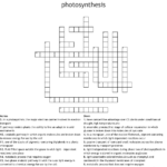 Biology Photosynthesis Crossword Puzzle Answer Key