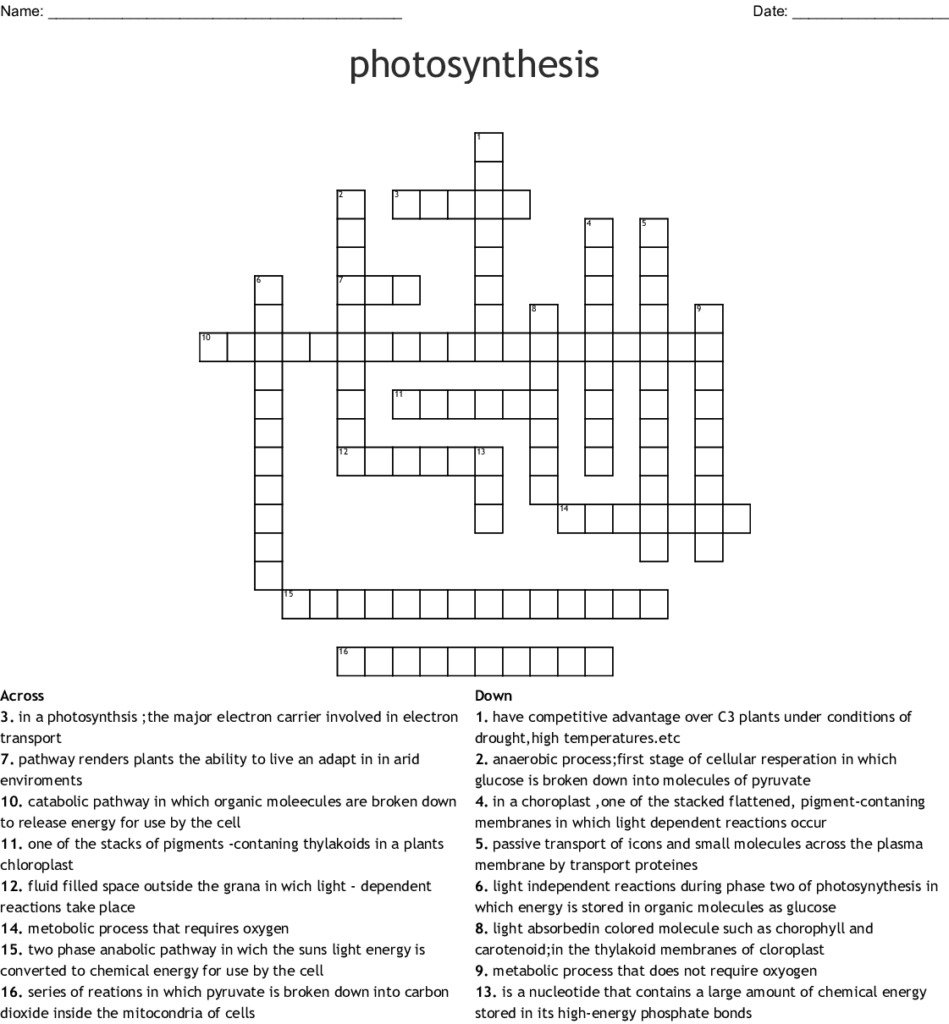 Biology Photosynthesis Crossword Puzzle Answer Key