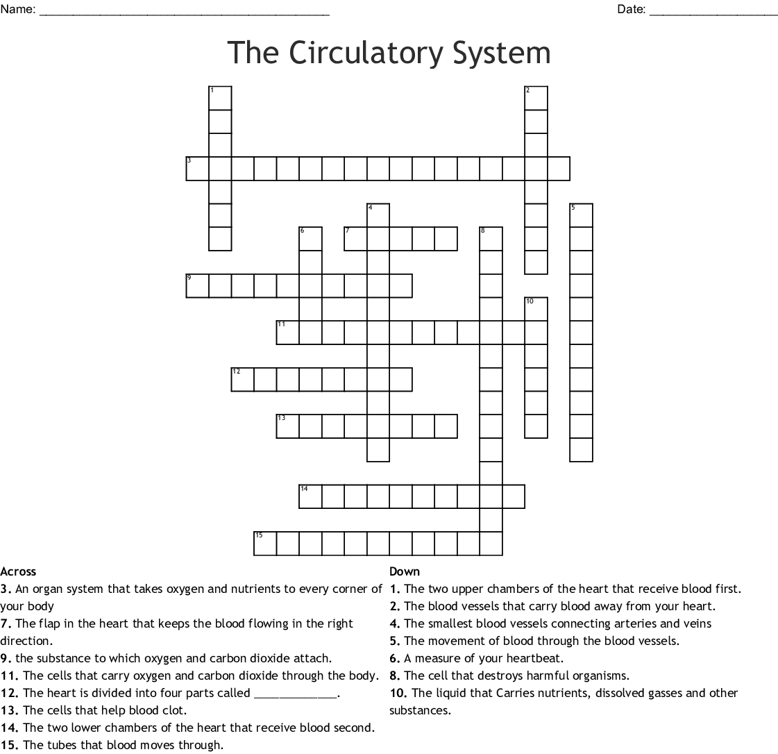 Printable Crossword Circulatory System Puzzles Pdf