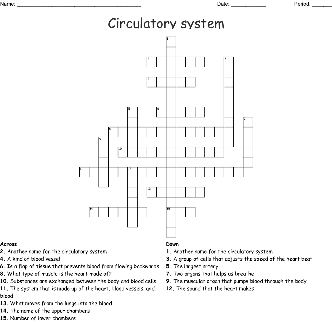 Circulatory System Crossword Puzzle Printable