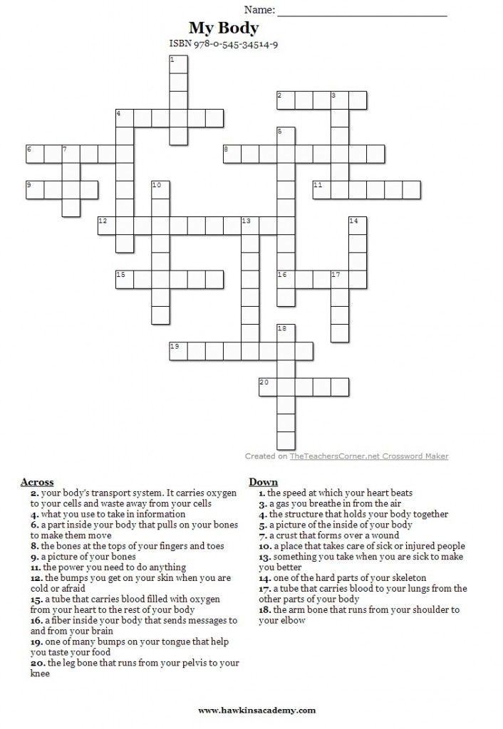 Human Body Crossword Puzzles Printable