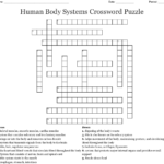 Free Printable Crossword Puzzles Body Parts Printable