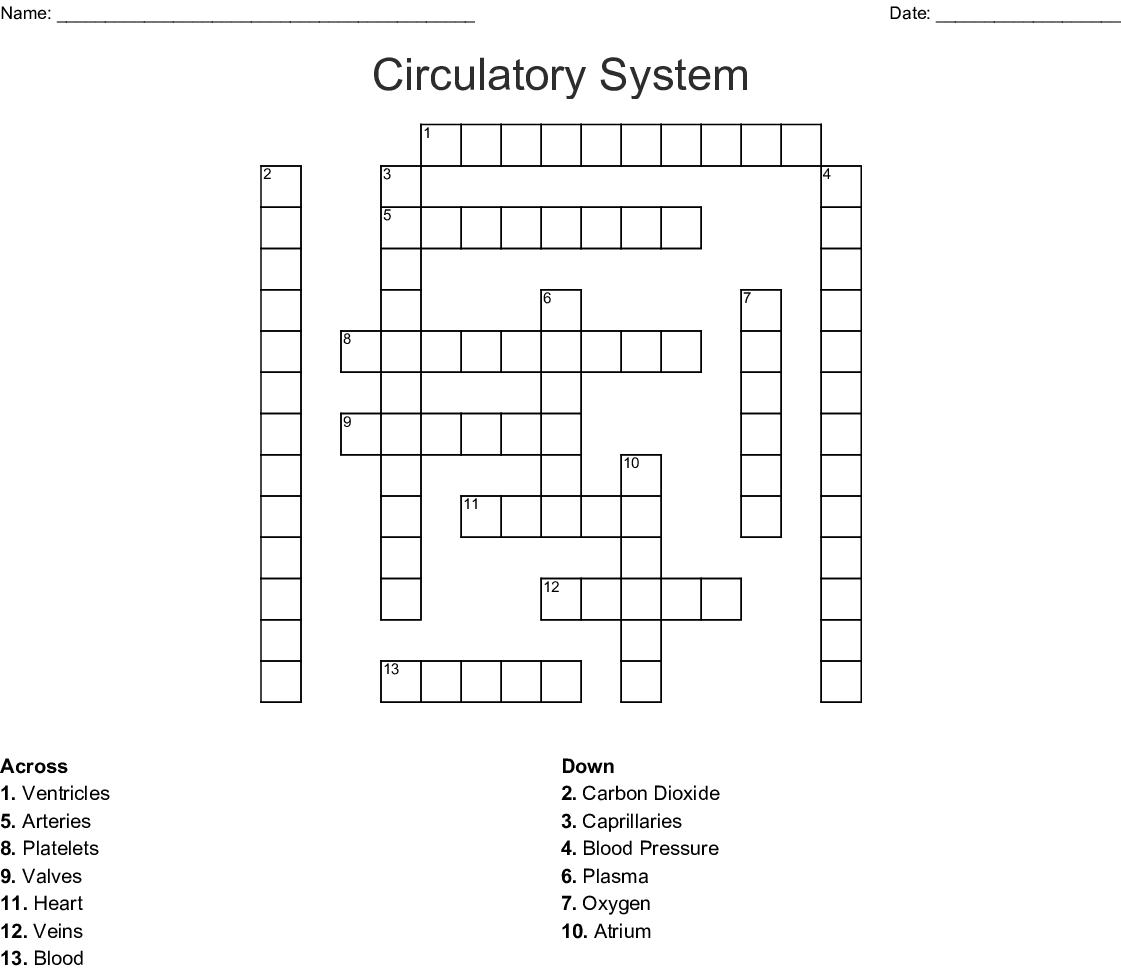 Circulatory System Crossword Puzzle Printable