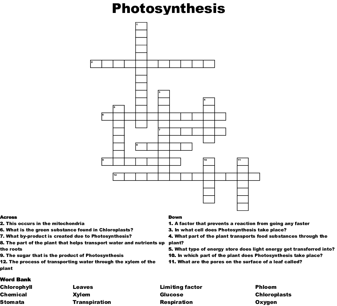 Free Printable Crossword Puzzles Photosynthesis