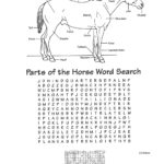 Printable Horse Crossword Puzzles Printable Crossword