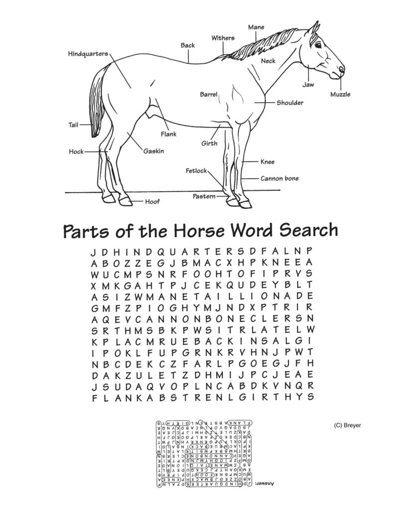 Printable Horse Crossword Puzzles Printable Crossword