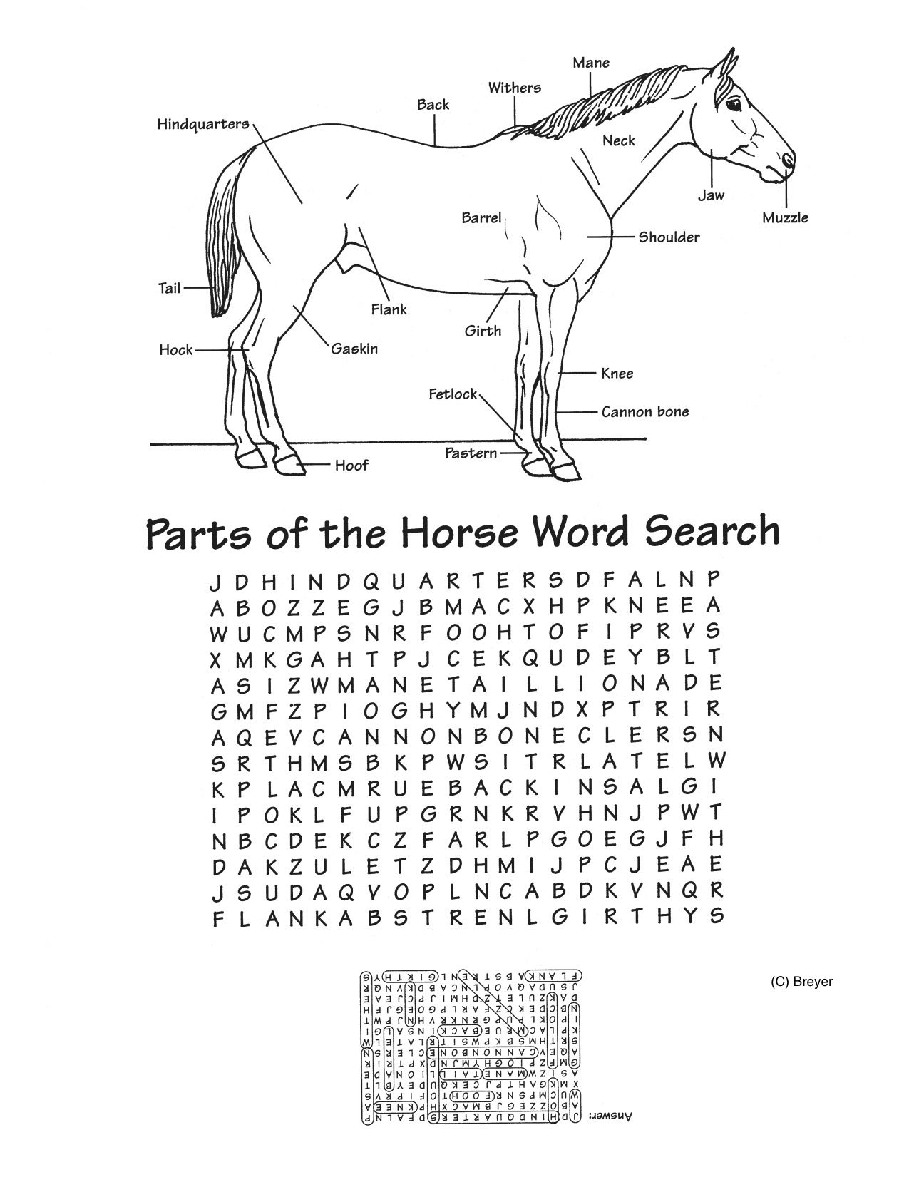 Horse Breed Crossword Puzzle Printable