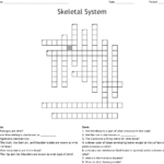 The Skeletal System Worksheet Answers Siteraven