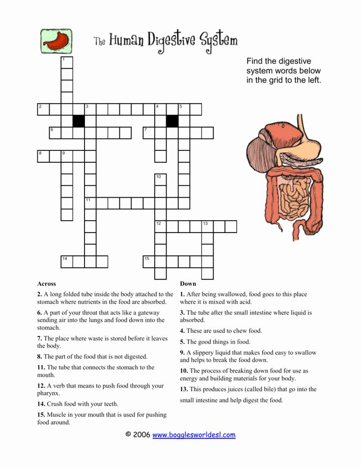Crossword Puzzle Printable For Kids Biology The Cell