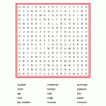 Anatomy Word Search Puzzle