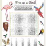 Bird Names Word Search Puzzle Teaching Resources Word