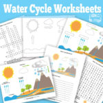 Free Printable Water Cycle Worksheets Diagrams Itsy