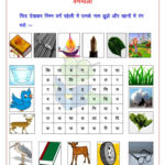 Pin By Rachna Maheshwari On Rachna Maheshwari Crossword