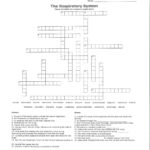 Respiratory System Crossword Puzzle Activity Shelter
