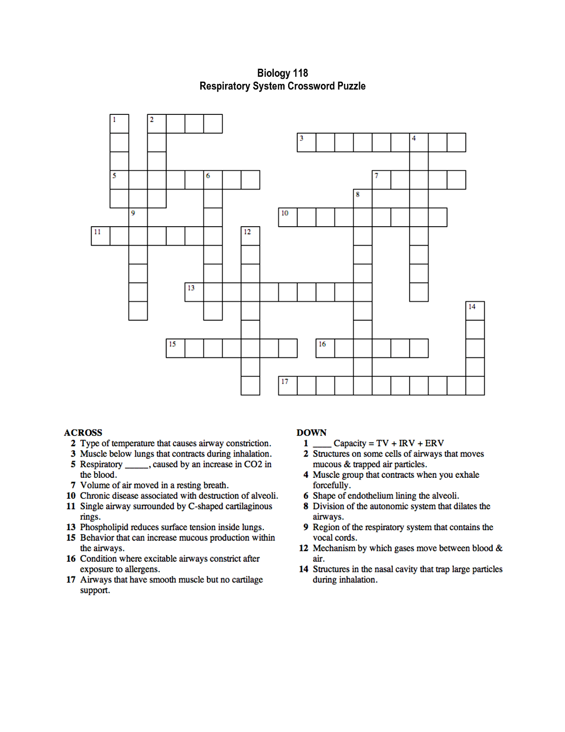 Crossword Puzzle Printable For Kids Biology The Cell