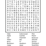 Word Search 10 Free HQ Online Puzzle Games On