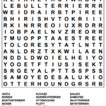 Word Search Word Find Word Puzzles Word Search Puzzle