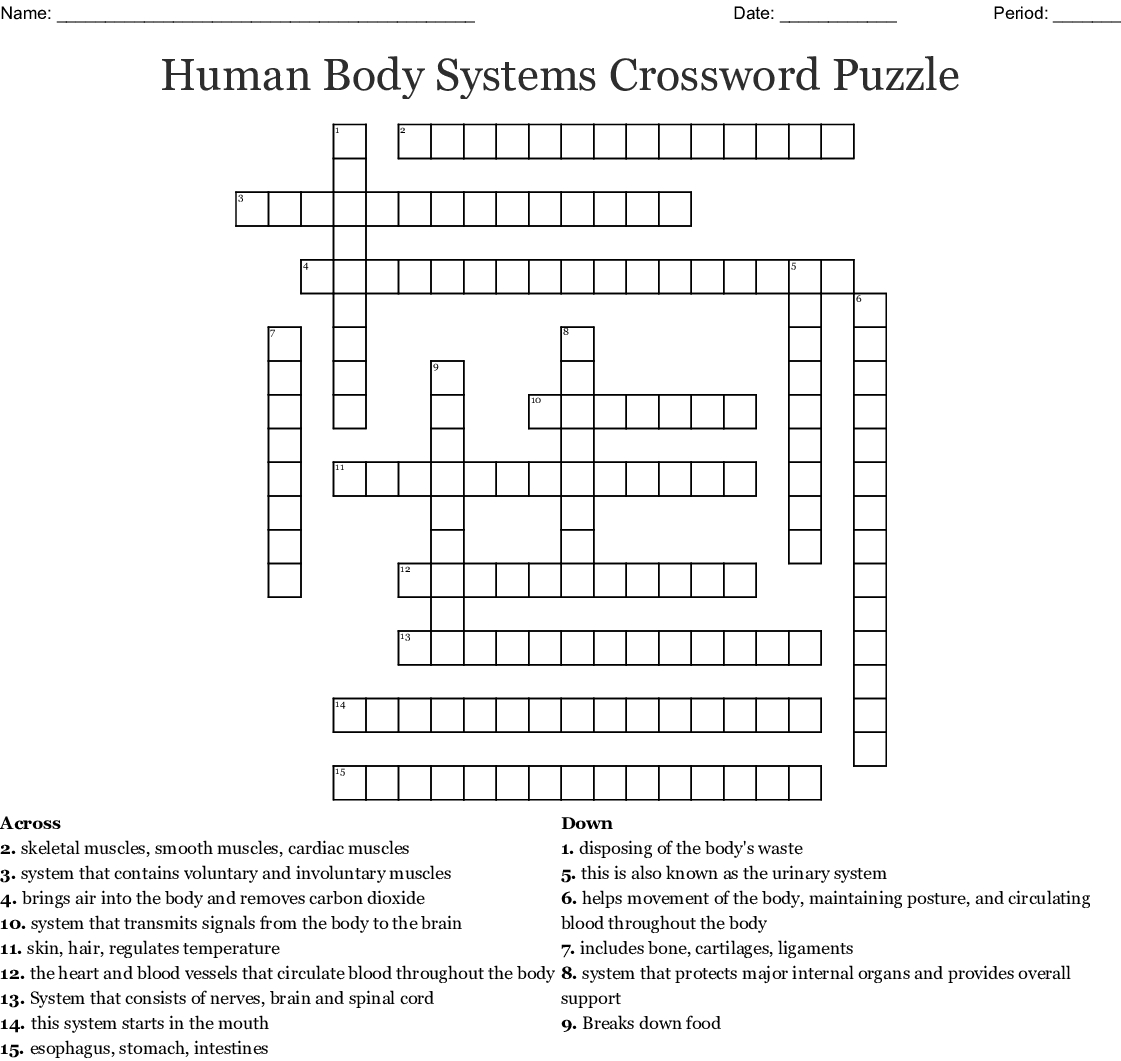 Difficult Body Systems Crossword Puzzle Printable