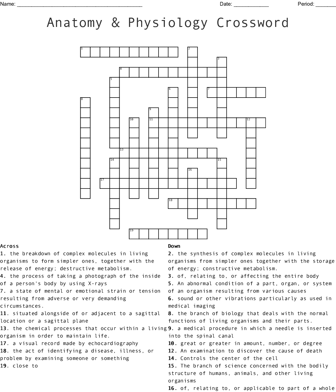 Printable Anatomy And Physiology Crossword Puzzles