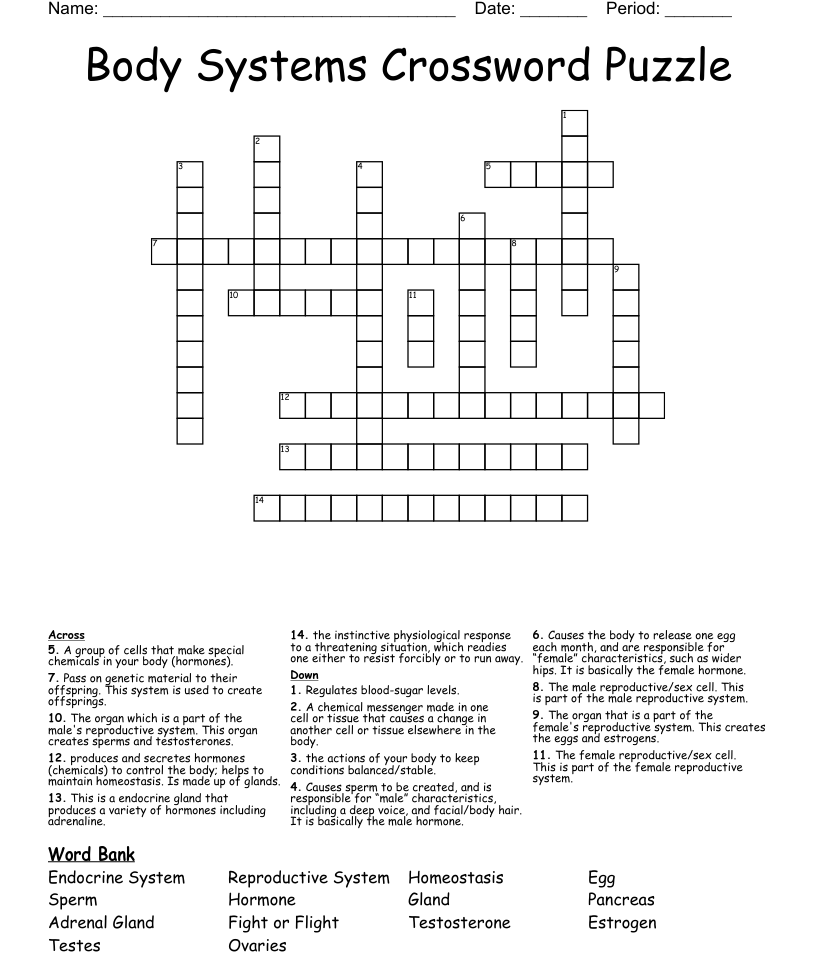 Difficult Body Systems Crossword Puzzle Printable