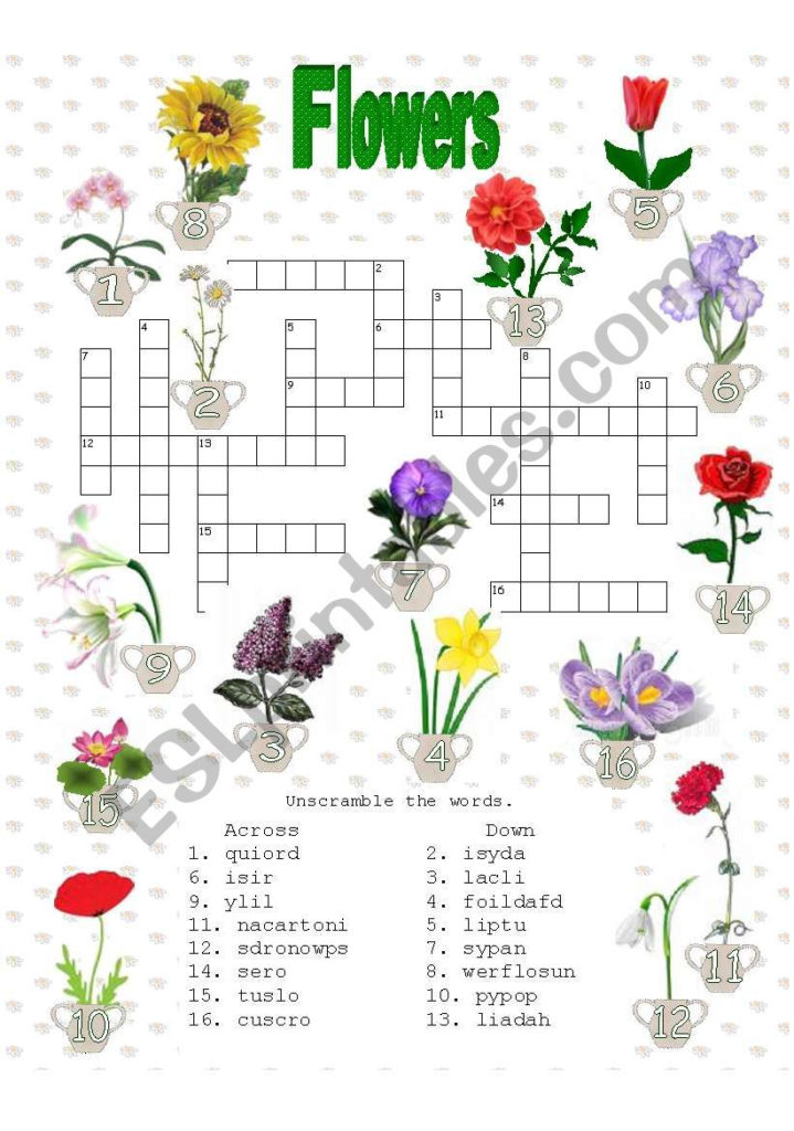 Crosswords Flowers ESL Worksheet By Anna P