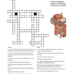 Digestive System Crossword