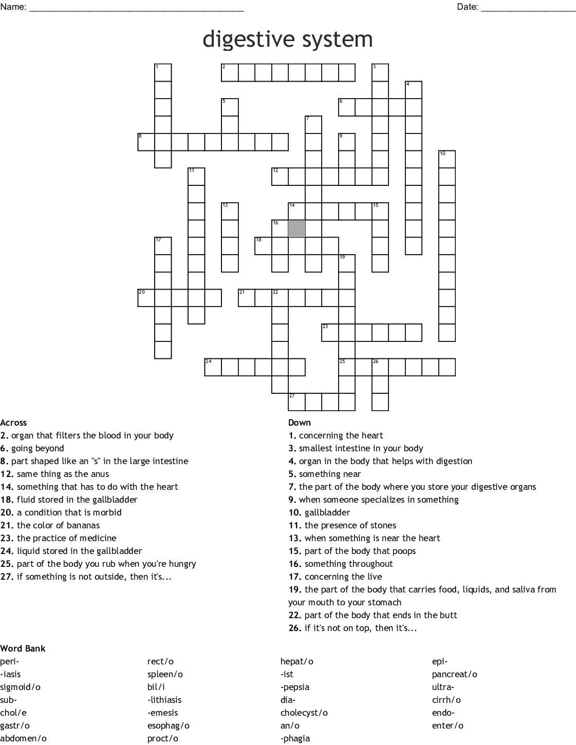 Printable Crossword Digestive System Puzzles Pdf