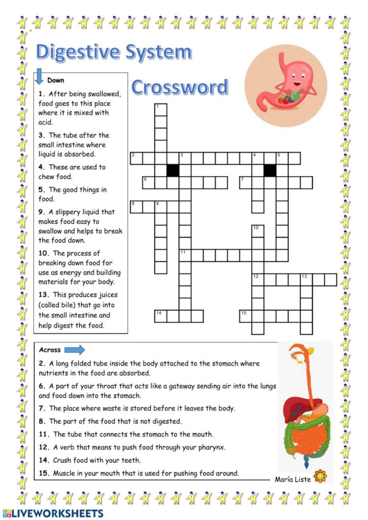 Digestive System Crossword Worksheet