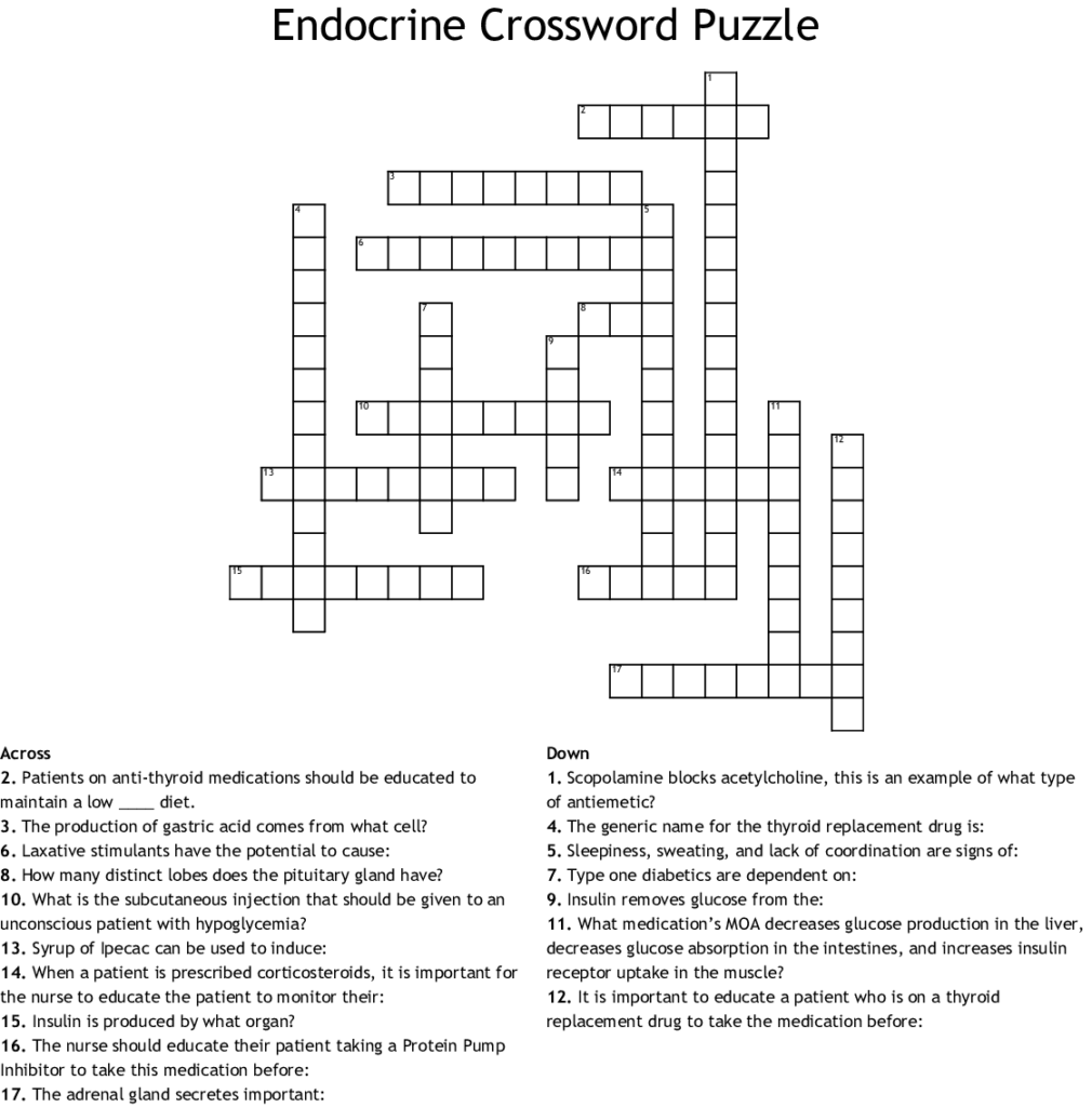 Endocrine Conditions Crosswords Word Searches Bingo