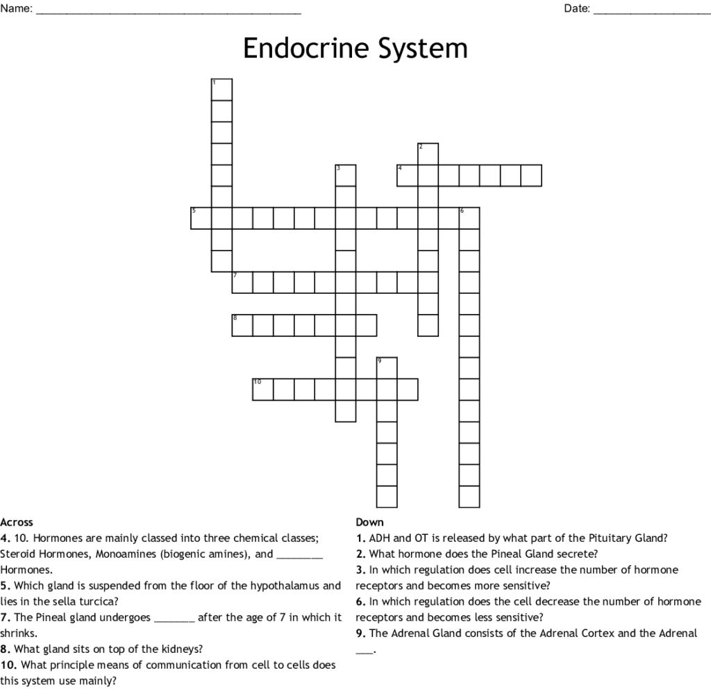 Endocrine System Crossword WordMint
