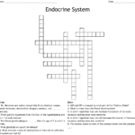 Endocrine System Crossword WordMint