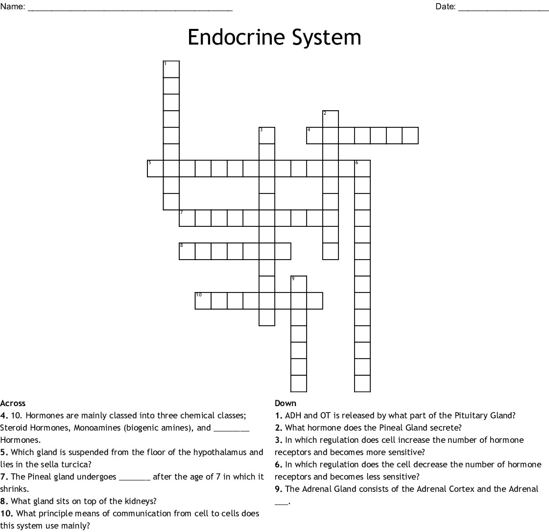 Printable Endocrine System Crossword Puzzle