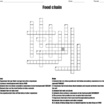 Food Chain Crossword Puzzle Pdf Crossword For Kids