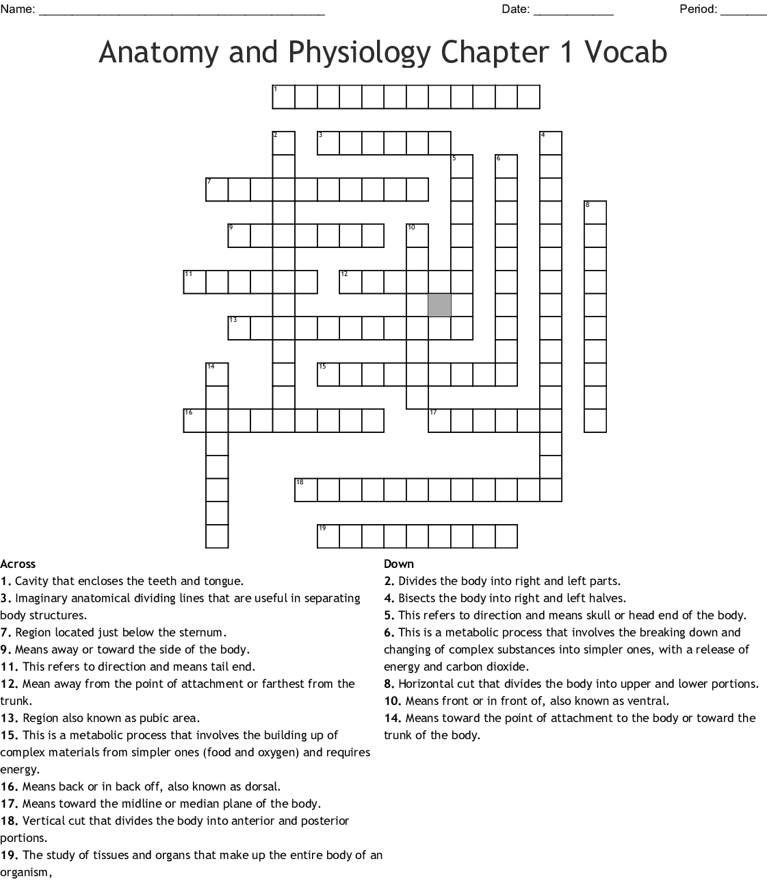 Printable Anatomy And Physiology Crossword Puzzles