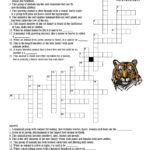 Mammals Crossword Puzzle Adults